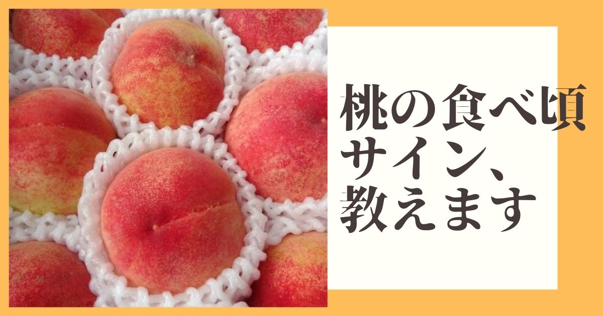 桃の食べ頃サイン教えます 最後までおいしく食べ切る桃の冷蔵や冷凍の保存方法の仕方 簡単な手順も公開 プロしか知らないオイシイfood情報